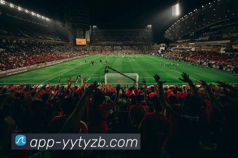 雨燕体育直播平台生态图